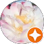Pale Opal Avatar